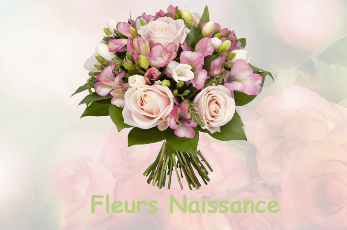 fleurs naissance QUIBOU