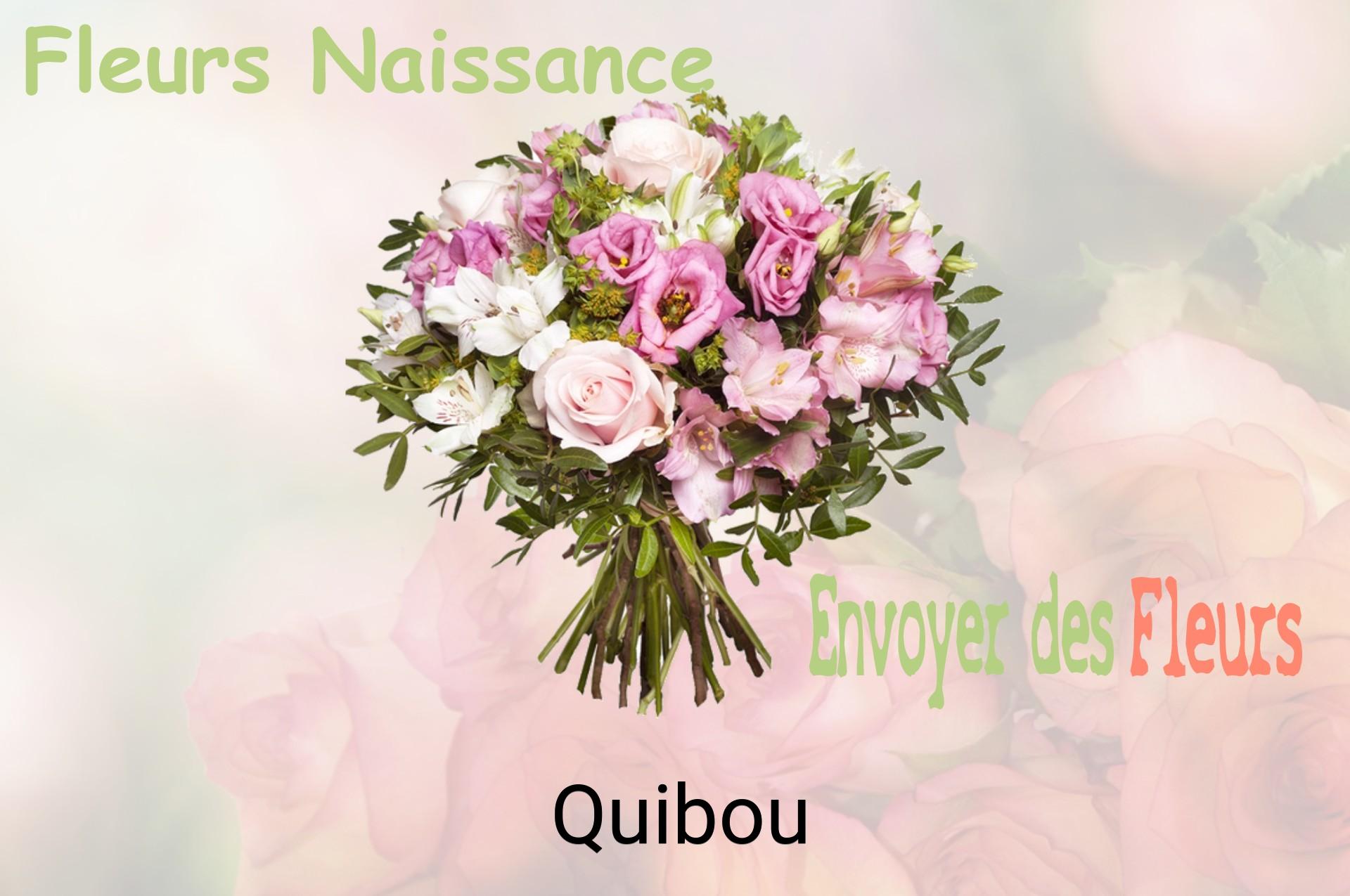 Bouquet de fleurs de naissance livré à Quibou