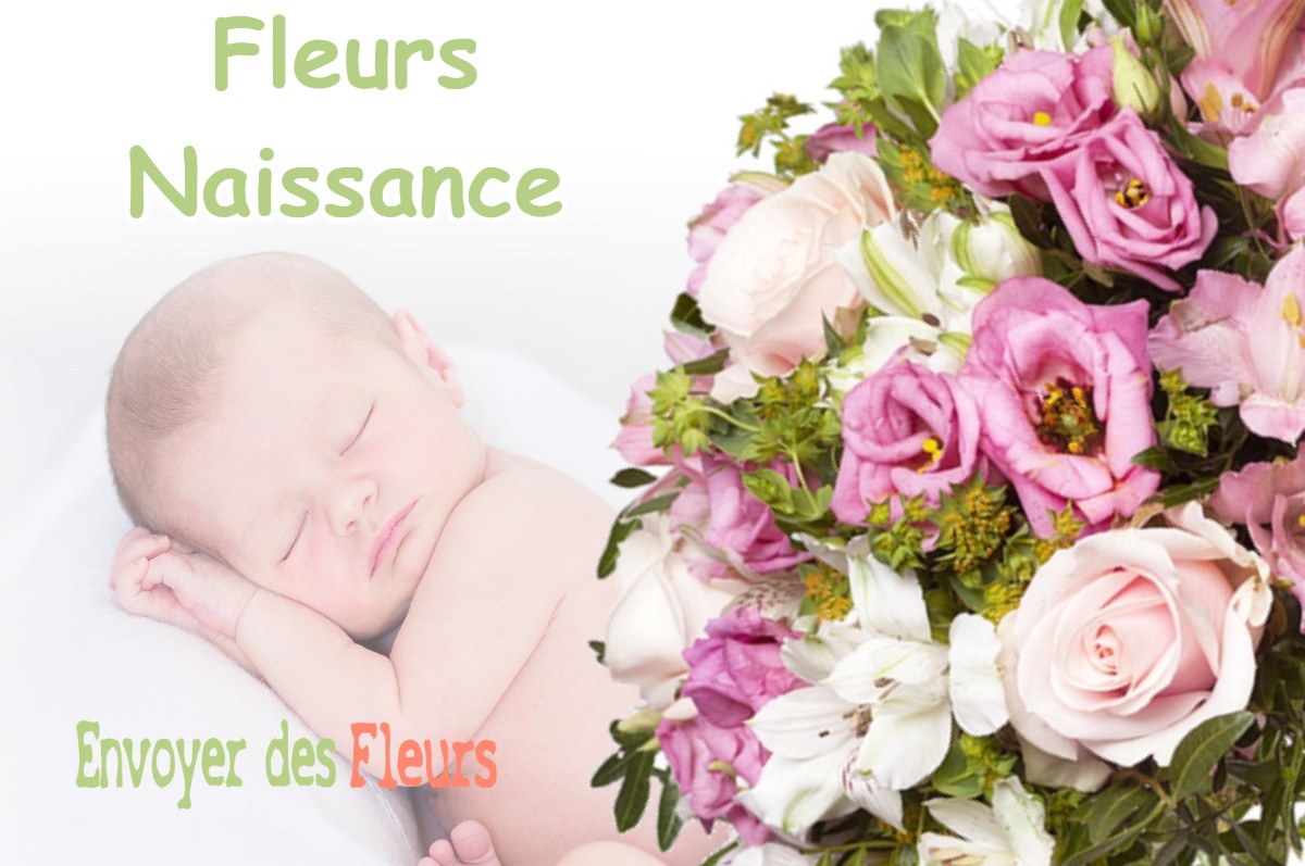 lIVRAISON FLEURS NAISSANCE à QUIBOU